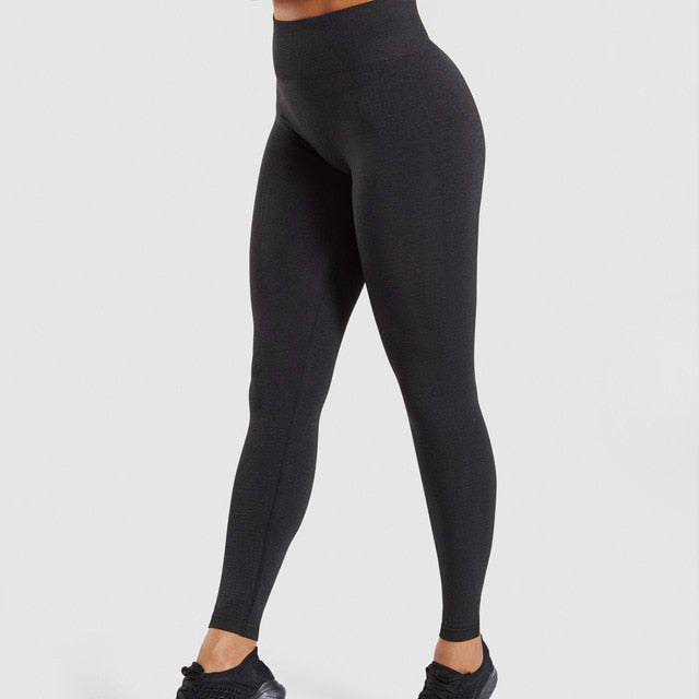 Women's High Waist Seamless Sport and Yoga Leggings