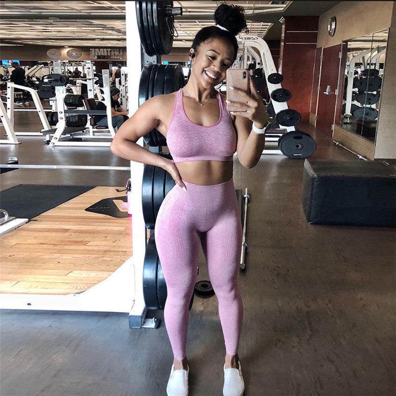 Women's High Waist Seamless Sport and Yoga Leggings